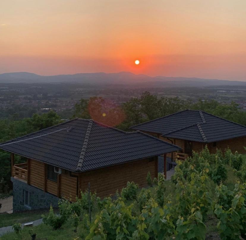 Boja Zalaska - Kameni Apartman Jagodina Extérieur photo