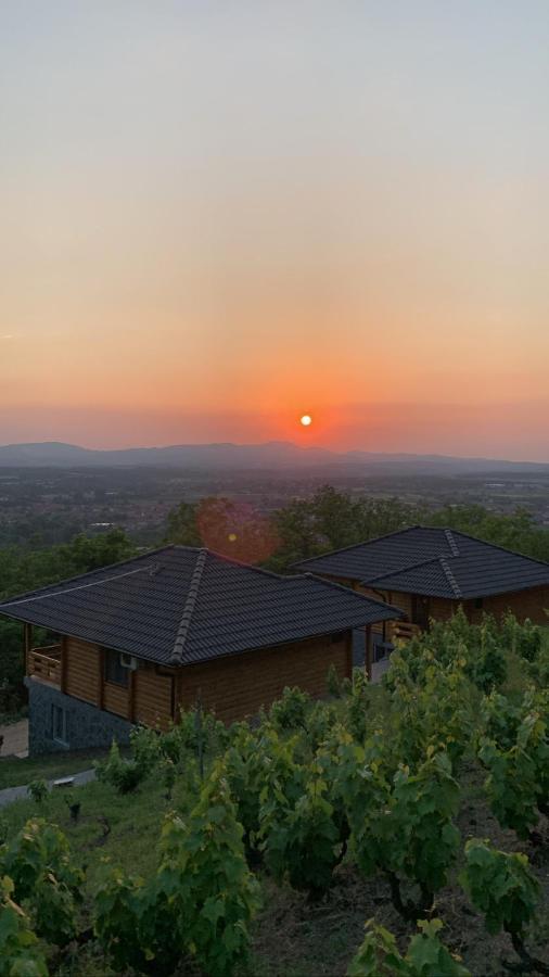 Boja Zalaska - Kameni Apartman Jagodina Extérieur photo